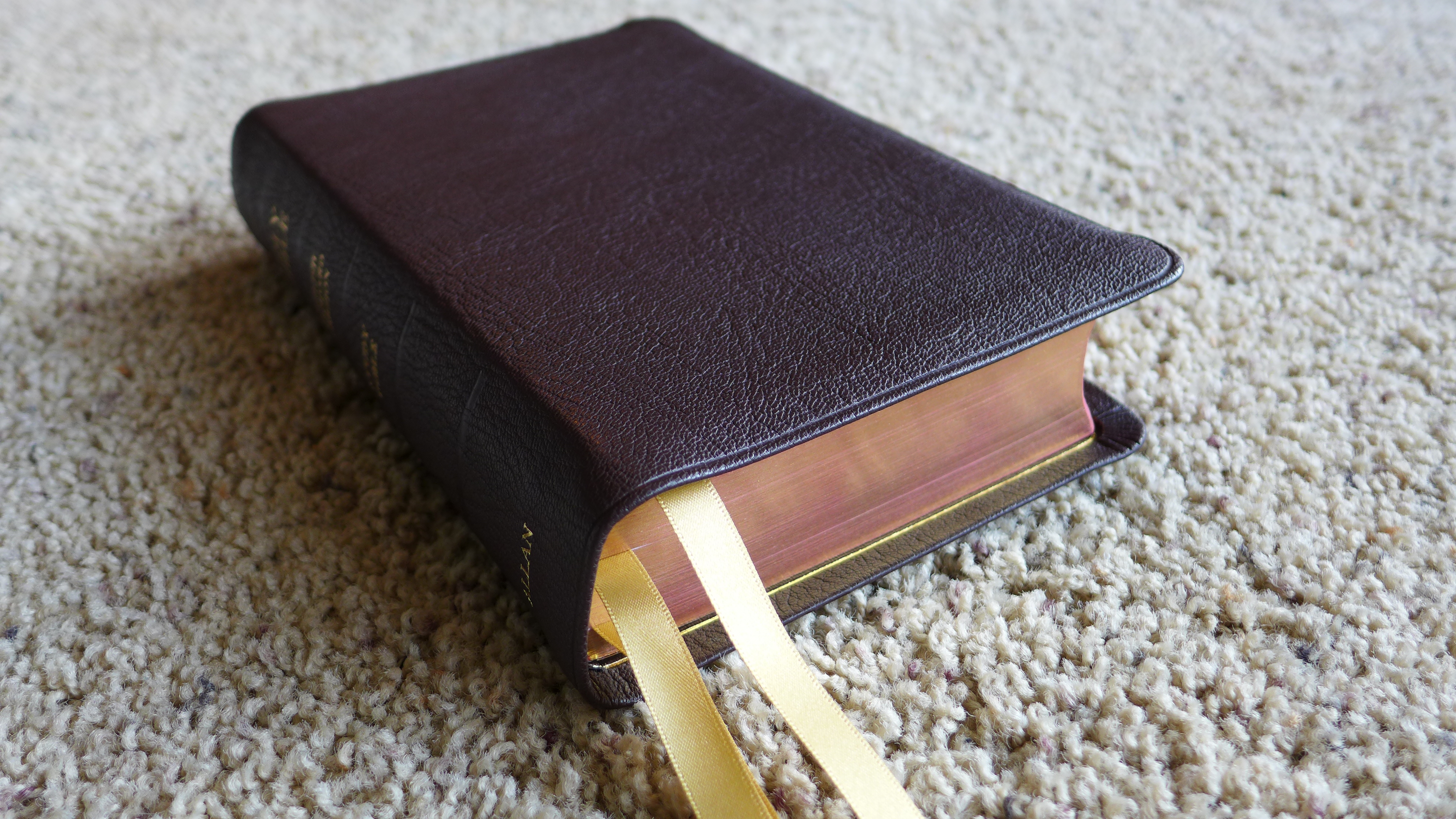 The Esv Study Bible Wrapped By R L Allan Son Holy Writ